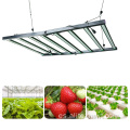 LED cultiva luz para interiores